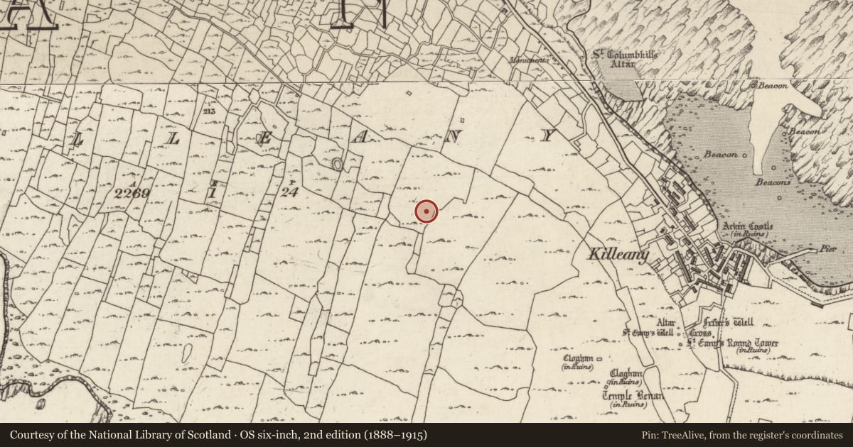 Ordnance Survey six-inch map, 2nd edition (1888–1915) covering the location of Hut site, Cill Éinne, County Galway, with a pin at the register's coordinates