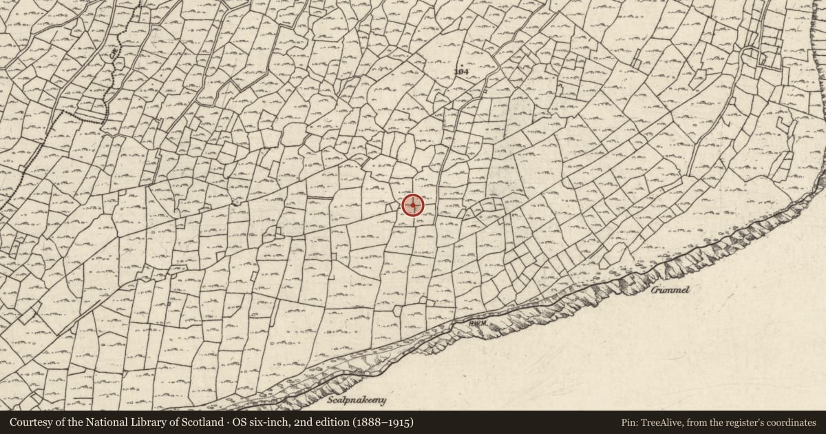 Ordnance Survey six-inch map, 2nd edition (1888–1915) covering the location of Mound, Ceathrú An Lisín, County Galway, with a pin at the register's coordinates