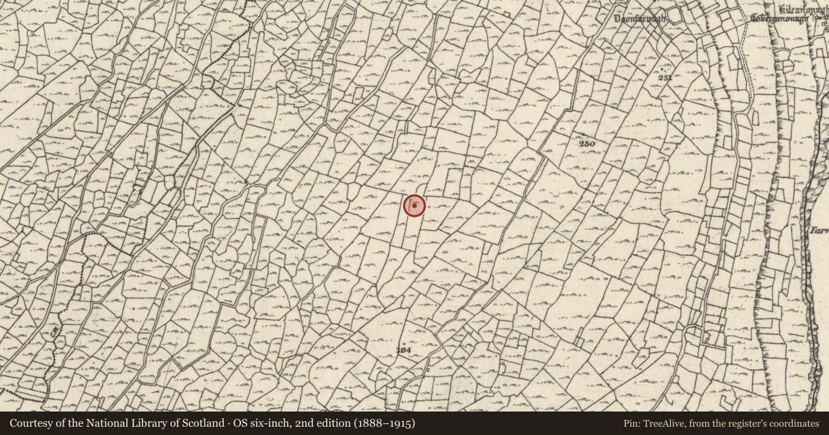 Ordnance Survey six-inch map, 2nd edition (1888–1915) covering the location of Mound, Ceathrú An Lisín, County Galway, with a pin at the register's coordinates