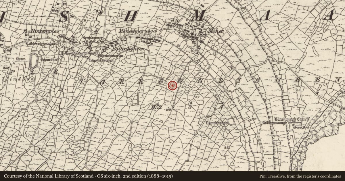 Ordnance Survey six-inch map, 2nd edition (1888–1915) covering the location of Cairn - unclassified, Ceathrú An Lisín, County Galway, with a pin at the register's coordinates