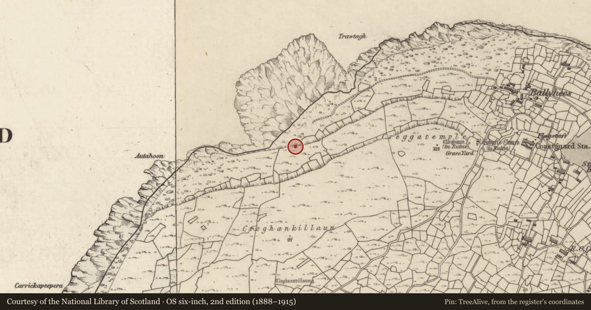 Ordnance Survey six-inch map, 2nd edition (1888–1915) covering the location of Seaweed stand, Inis Oírr, County Galway, with a pin at the register's coordinates