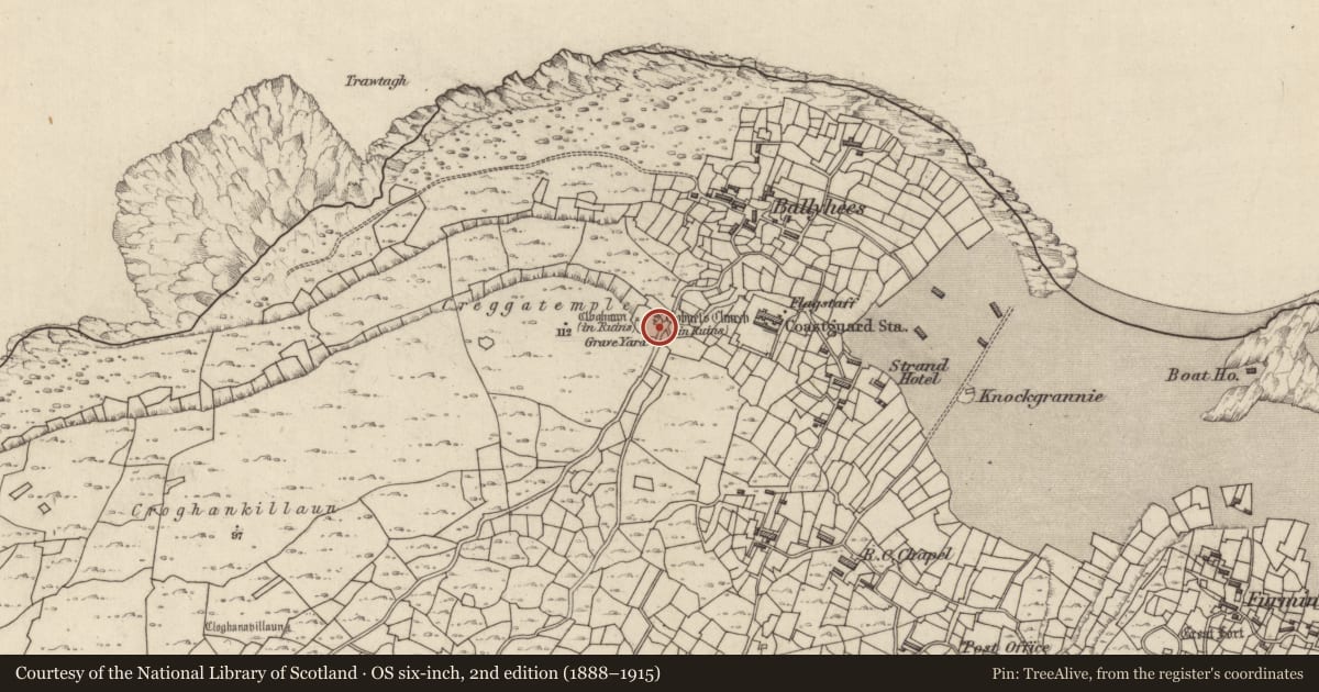Ordnance Survey six-inch map, 2nd edition (1888–1915) covering the location of Leacht, Inis Oírr, County Galway, with a pin at the register's coordinates