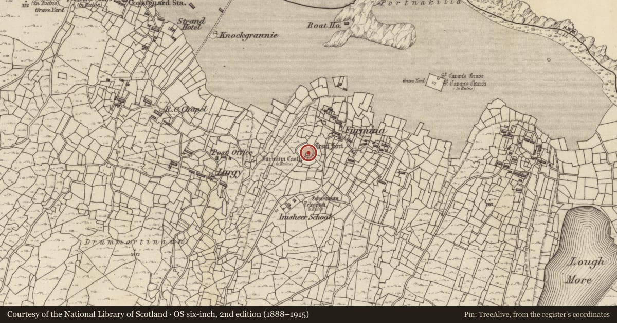 Ordnance Survey six-inch map, 2nd edition (1888–1915) covering the location of Ringfort - cashel, Inis Oírr, County Galway, with a pin at the register's coordinates