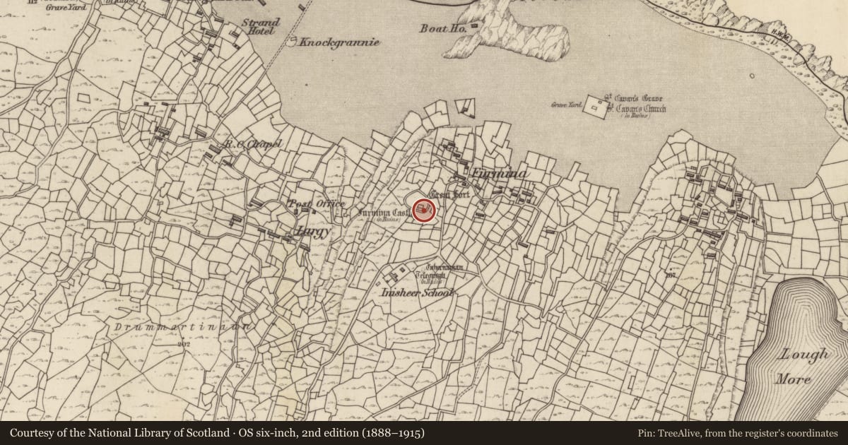 Ordnance Survey six-inch map, 2nd edition (1888–1915) covering the location of Castle - hall-house, Inis Oírr, County Galway, with a pin at the register's coordinates