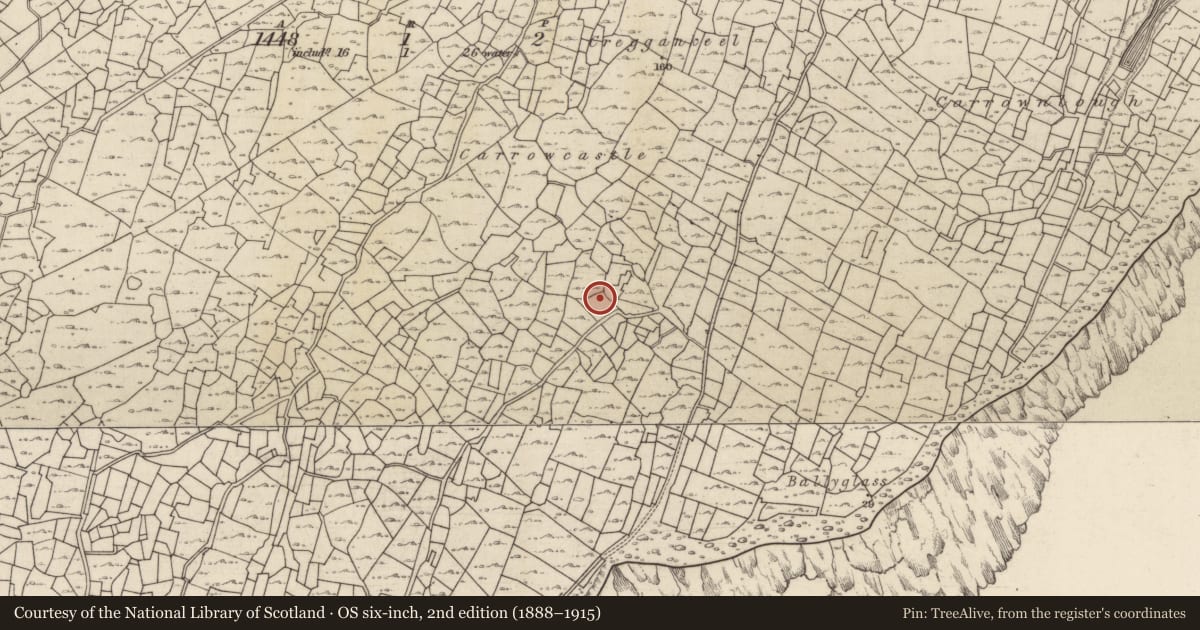 Ordnance Survey six-inch map, 2nd edition (1888–1915) covering the location of Mound, Inis Oírr, County Galway, with a pin at the register's coordinates