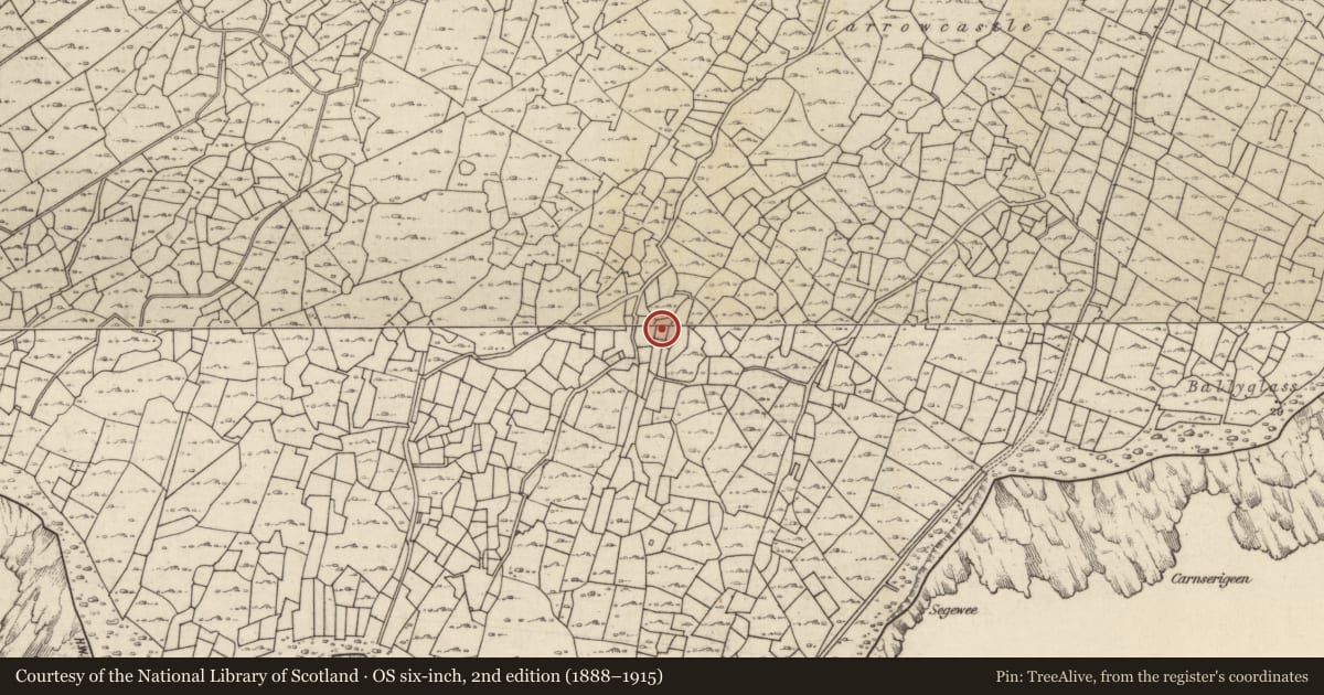 Ordnance Survey six-inch map, 2nd edition (1888–1915) covering the location of Mound, Inis Oírr, County Galway, with a pin at the register's coordinates