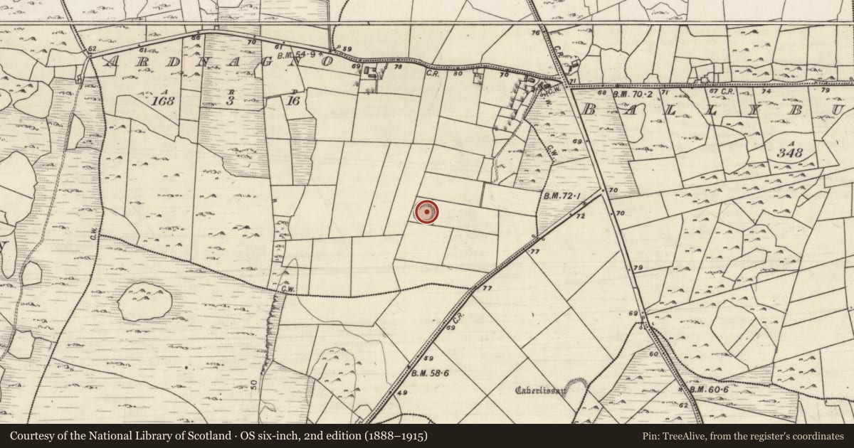 Ordnance Survey six-inch map, 2nd edition (1888–1915) covering the location of Ringfort - rath, Ardnagno, County Galway, with a pin at the register's coordinates