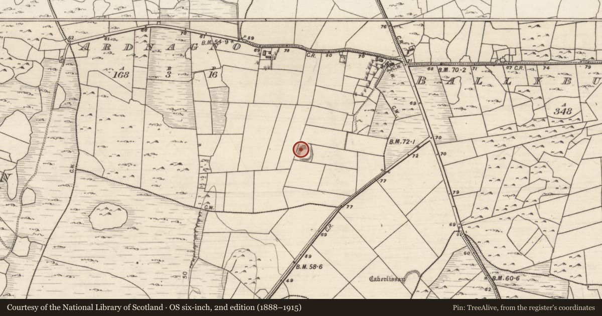 Ordnance Survey six-inch map, 2nd edition (1888–1915) covering the location of Souterrain, Ardnagno, County Galway, with a pin at the register's coordinates