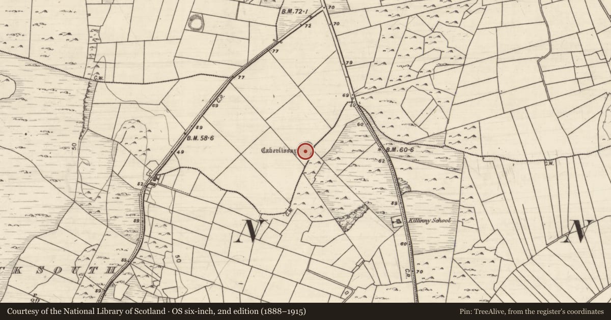 Ordnance Survey six-inch map, 2nd edition (1888–1915) covering the location of Ringfort - rath, Ballybuck North, Killinny West, County Galway, with a pin at the register's coordinates
