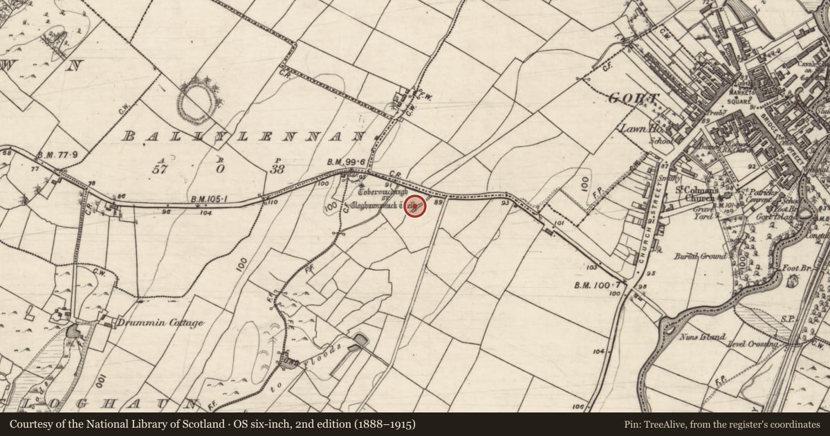 Ordnance Survey six-inch map, 2nd edition (1888–1915) covering the location of Ritual site - holy well, Ballyhugh, County Galway, with a pin at the register's coordinates