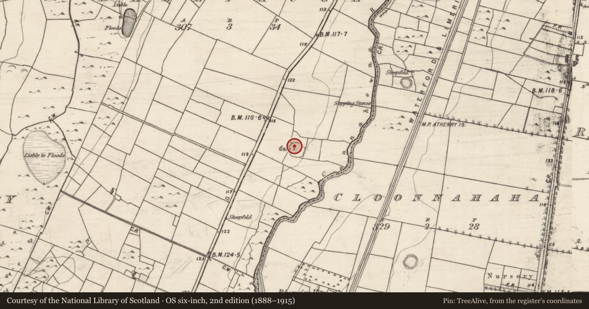 Ordnance Survey six-inch map, 2nd edition (1888–1915) covering the location of Ringfort - cashel, Ballyhugh, County Galway, with a pin at the register's coordinates