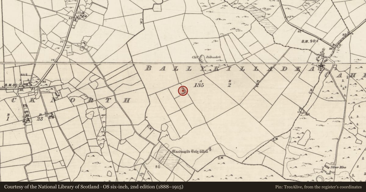 Ordnance Survey six-inch map, 2nd edition (1888–1915) covering the location of Ringfort - rath, Ballykilladea, County Galway, with a pin at the register's coordinates