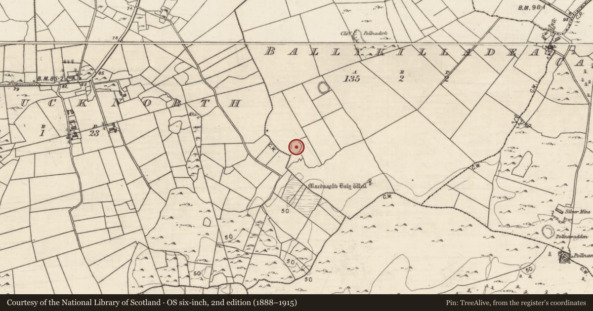 Ordnance Survey six-inch map, 2nd edition (1888–1915) covering the location of Ringfort - rath, Ballykilladea, County Galway, with a pin at the register's coordinates