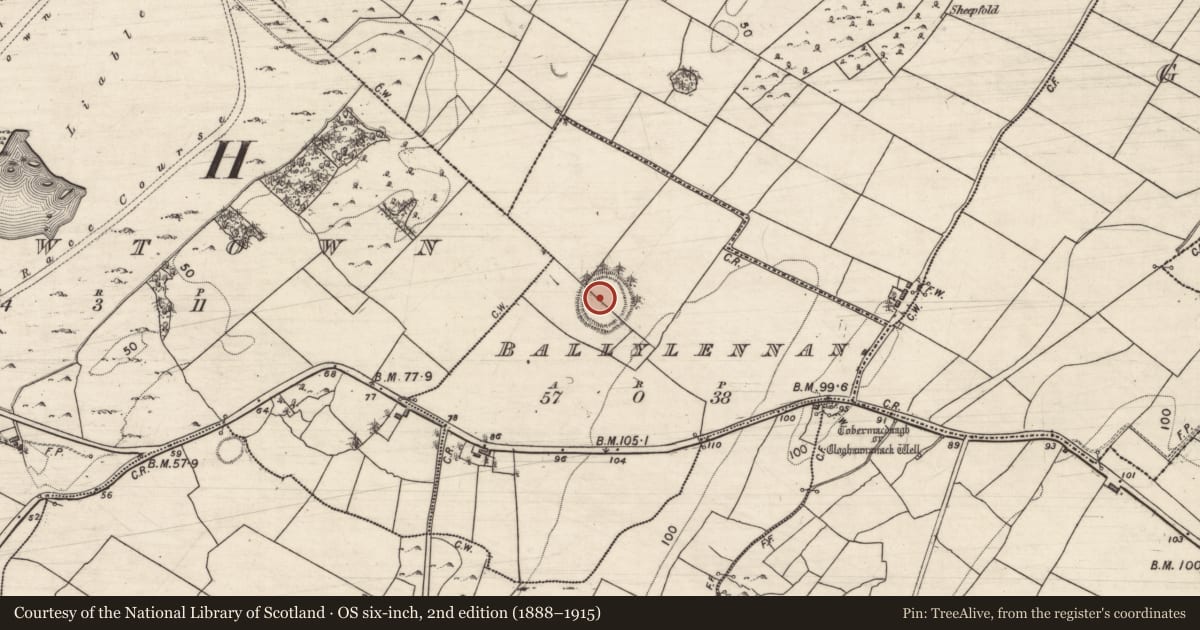 Ordnance Survey six-inch map, 2nd edition (1888–1915) covering the location of Ringfort - unclassified, Ballylennan, County Galway, with a pin at the register's coordinates