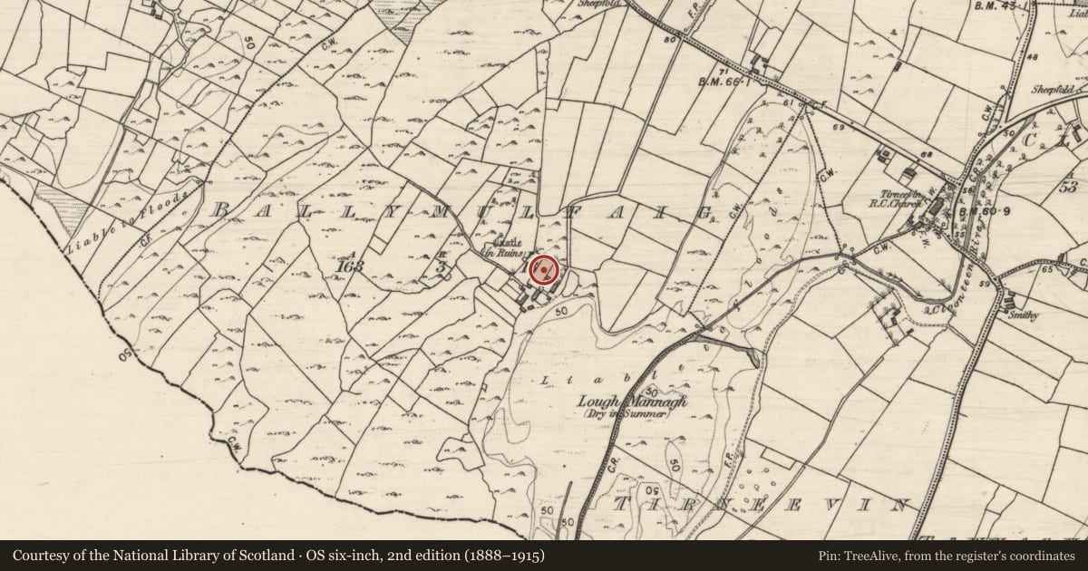 Ordnance Survey six-inch map, 2nd edition (1888–1915) covering the location of Bawn, Ballymulfaig, County Galway, with a pin at the register's coordinates