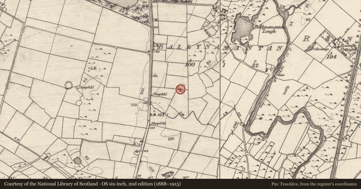 Ordnance Survey six-inch map, 2nd edition (1888–1915) covering the location of Ringfort - rath, Ballynamantan, County Galway, with a pin at the register's coordinates