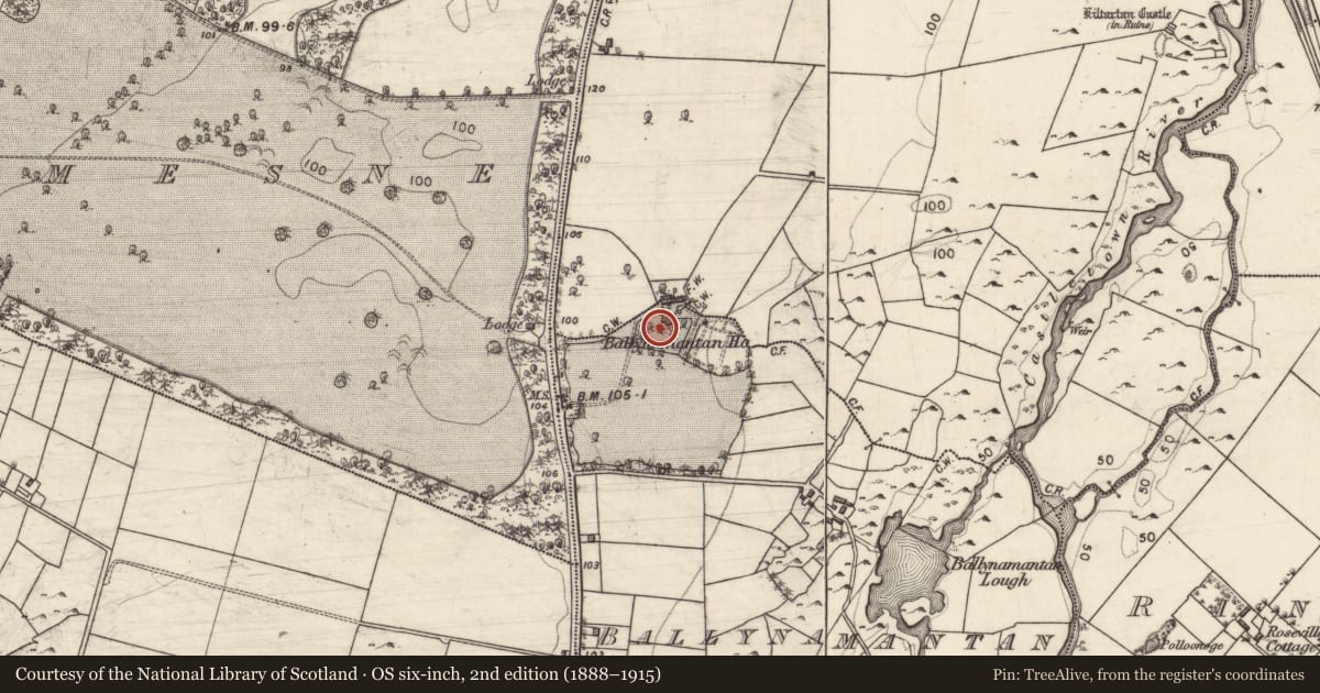 Ordnance Survey six-inch map, 2nd edition (1888–1915) covering the location of House - 18th/19th century, Ballynamantan, County Galway, with a pin at the register's coordinates