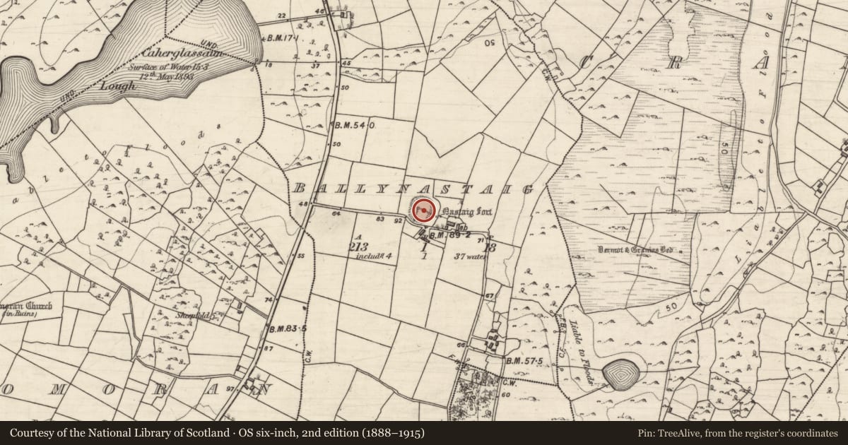Ordnance Survey six-inch map, 2nd edition (1888–1915) covering the location of Ringfort - rath, Ballynastaig, County Galway, with a pin at the register's coordinates