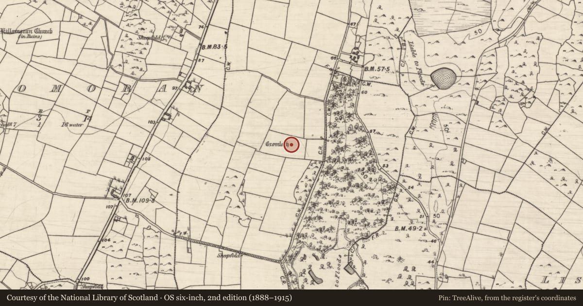 Ordnance Survey six-inch map, 2nd edition (1888–1915) covering the location of Megalithic tomb - wedge tomb, Ballynastaig, County Galway, with a pin at the register's coordinates