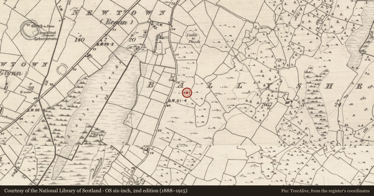Ordnance Survey six-inch map, 2nd edition (1888–1915) covering the location of Ringfort - cashel, Ballysheedy, County Galway, with a pin at the register's coordinates