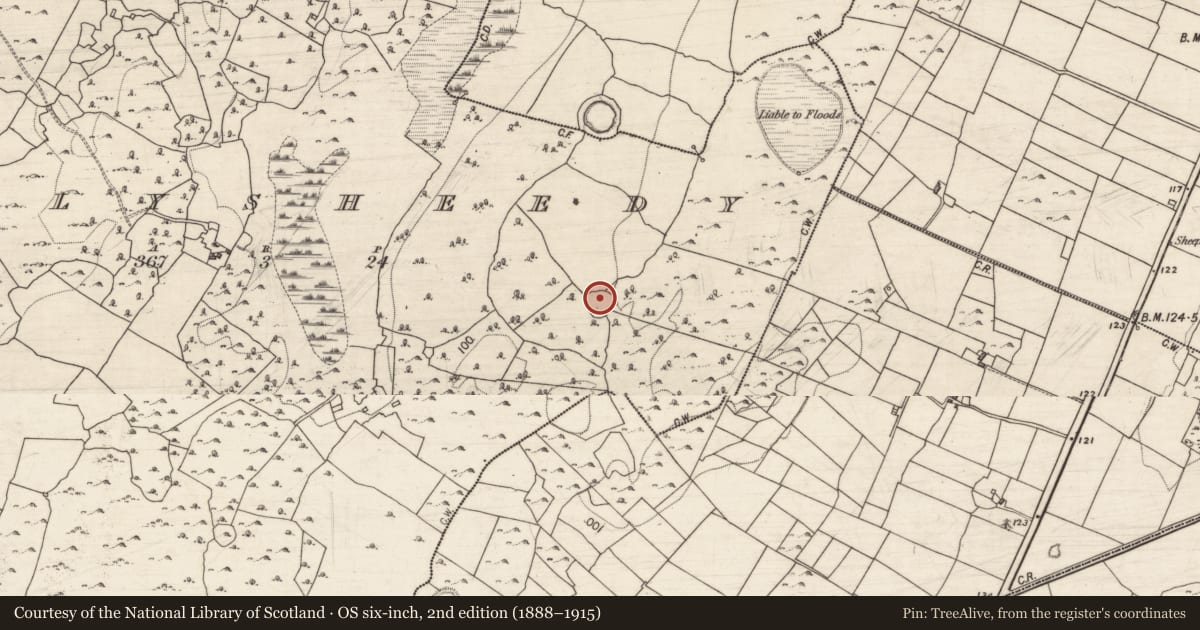 Ordnance Survey six-inch map, 2nd edition (1888–1915) covering the location of Ringfort - cashel, Ballysheedy, County Galway, with a pin at the register's coordinates