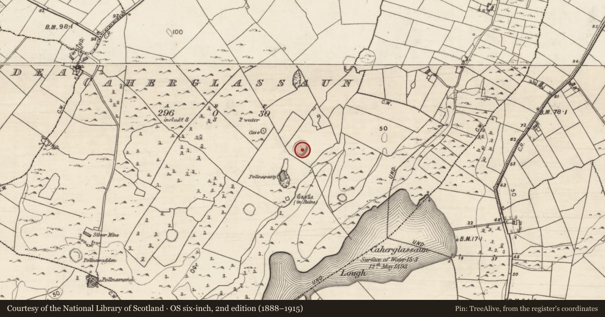 Ordnance Survey six-inch map, 2nd edition (1888–1915) covering the location of Ringfort - rath, Caherglassaun, County Galway, with a pin at the register's coordinates