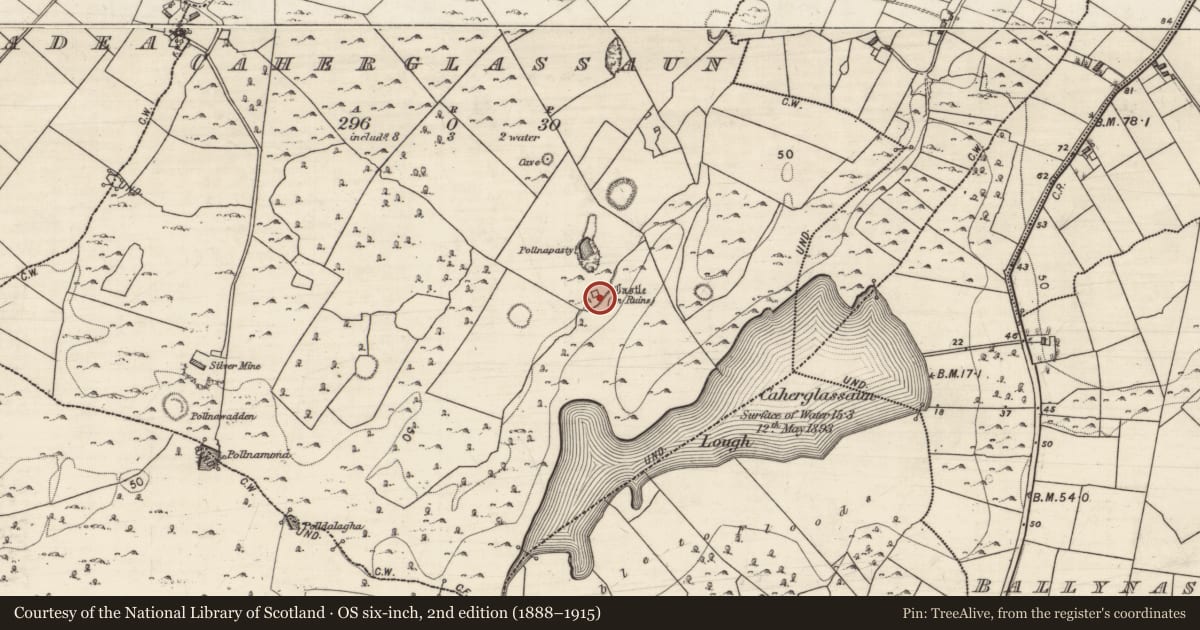 Ordnance Survey six-inch map, 2nd edition (1888–1915) covering the location of Castle - tower house, Caherglassaun, County Galway, with a pin at the register's coordinates