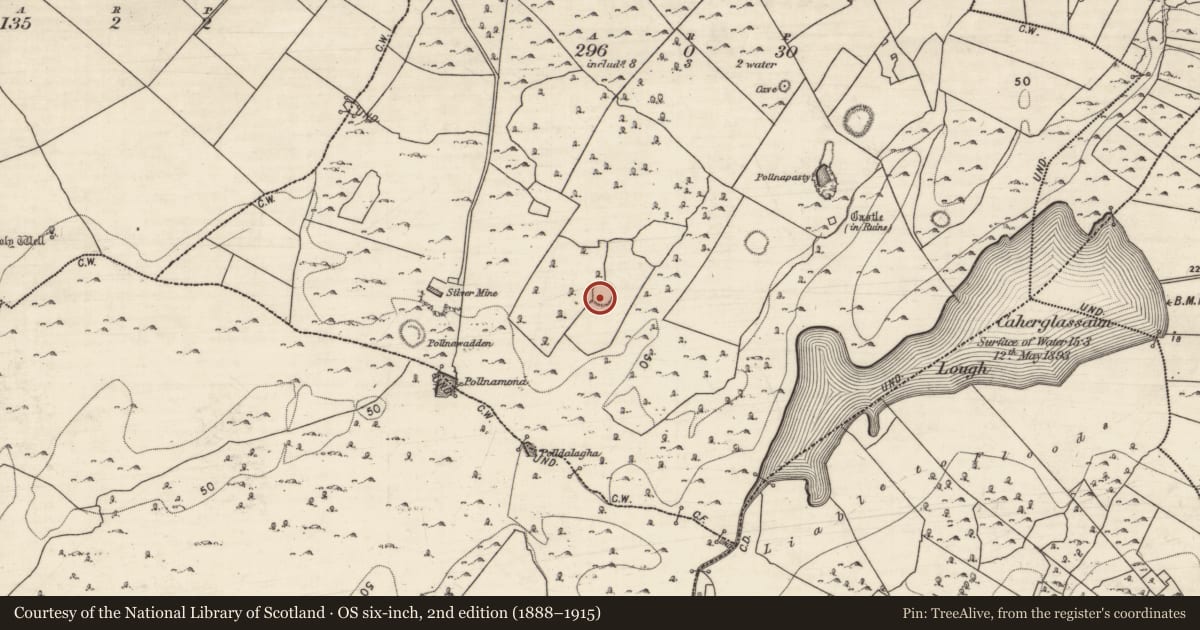 Ordnance Survey six-inch map, 2nd edition (1888–1915) covering the location of Ringfort - cashel, Caherglassaun, County Galway, with a pin at the register's coordinates