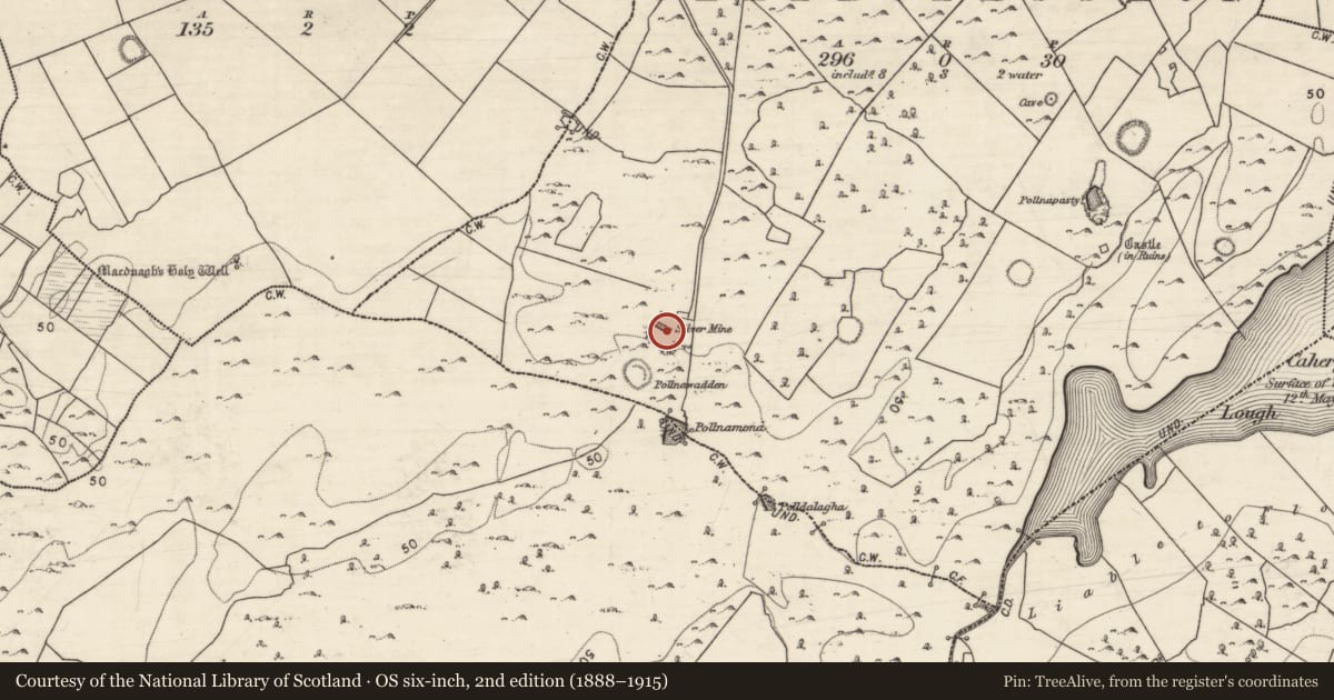 Ordnance Survey six-inch map, 2nd edition (1888–1915) covering the location of Mine, Caherglassaun, County Galway, with a pin at the register's coordinates