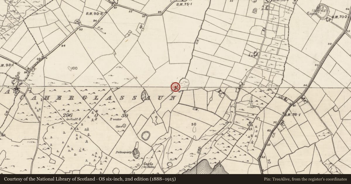 Ordnance Survey six-inch map, 2nd edition (1888–1915) covering the location of Ringfort - cashel, Caherglassaun, County Galway, with a pin at the register's coordinates