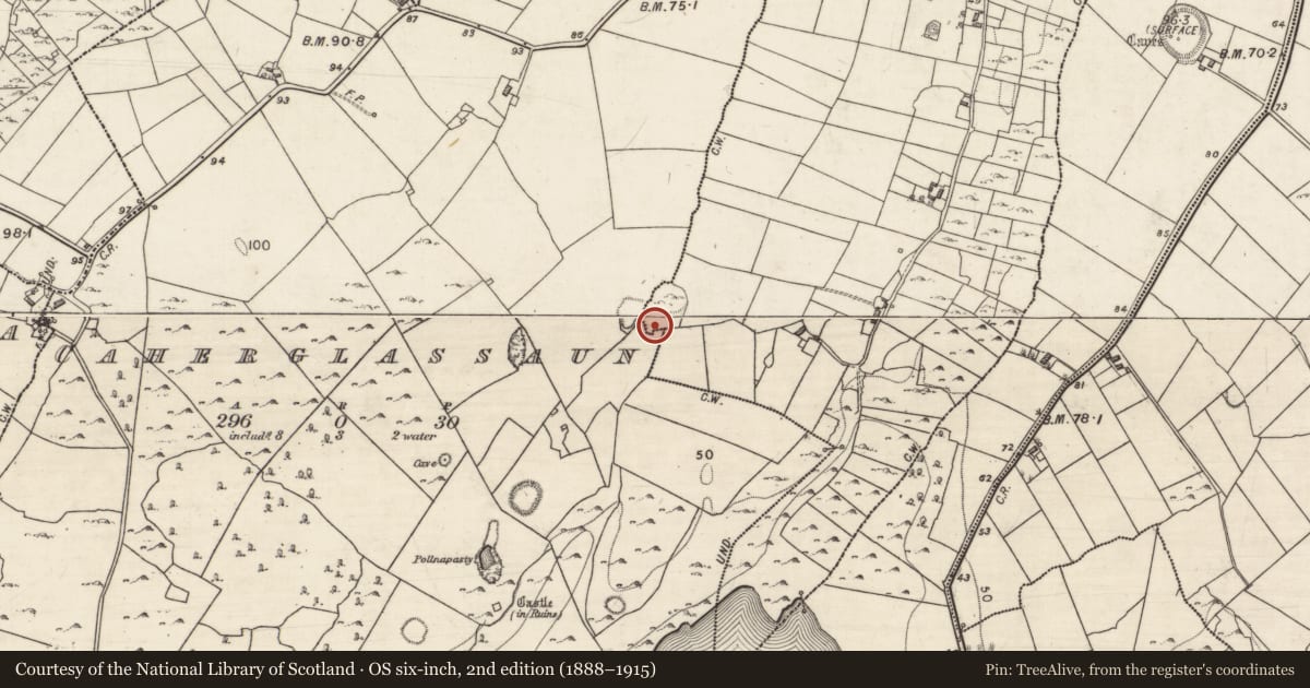 Ordnance Survey six-inch map, 2nd edition (1888–1915) covering the location of House - indeterminate date, Caherglassaun, County Galway, with a pin at the register's coordinates