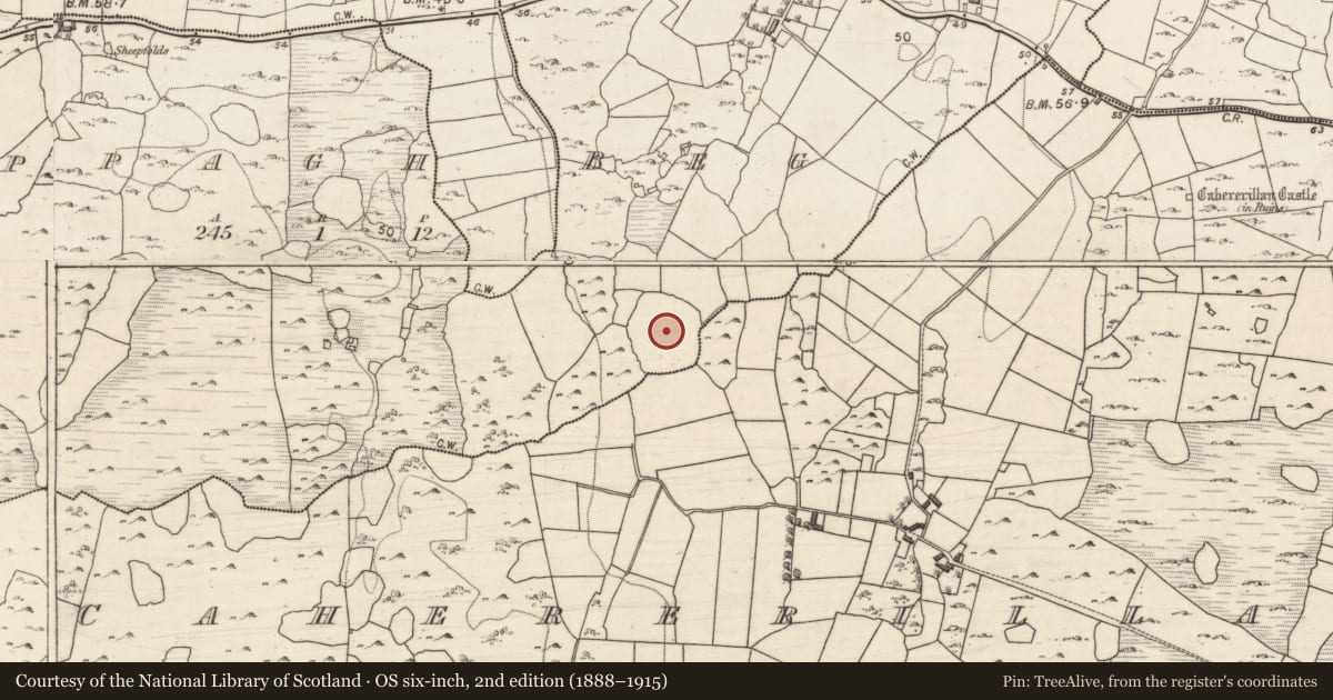 Ordnance Survey six-inch map, 2nd edition (1888–1915) covering the location of Children's burial ground, Cappagh Beg, County Galway, with a pin at the register's coordinates