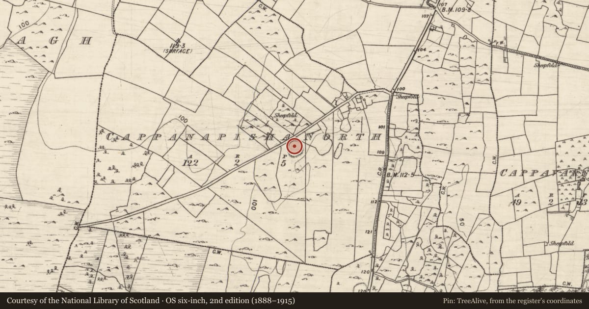 Ordnance Survey six-inch map, 2nd edition (1888–1915) covering the location of Ringfort - cashel, Cappanapisha North, County Galway, with a pin at the register's coordinates