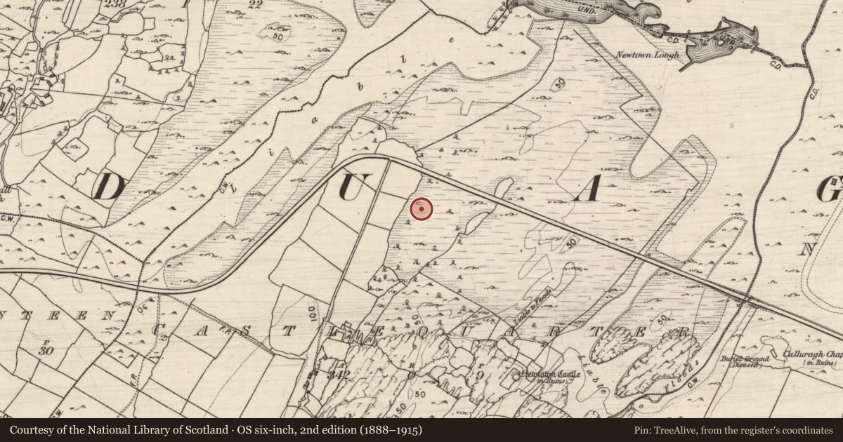 Ordnance Survey six-inch map, 2nd edition (1888–1915) covering the location of Ringfort - unclassified, Castlequarter, County Galway, with a pin at the register's coordinates