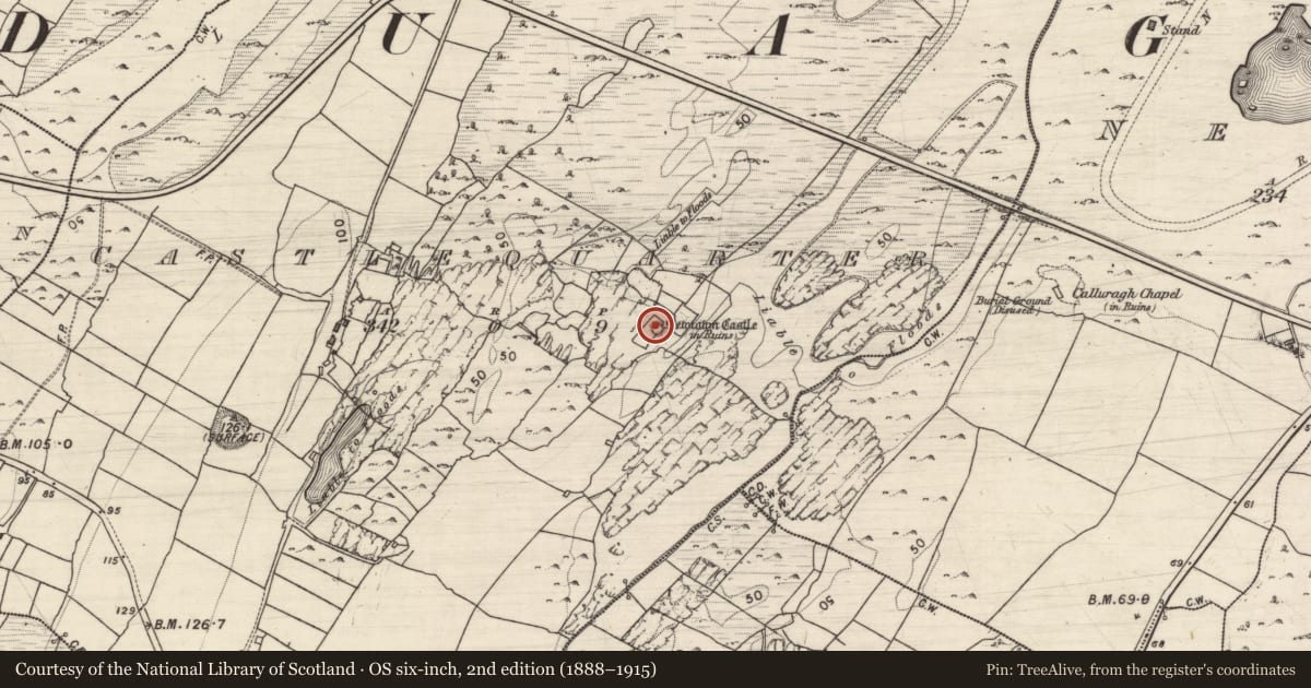 Ordnance Survey six-inch map, 2nd edition (1888–1915) covering the location of Castle - tower house, Castlequarter, County Galway, with a pin at the register's coordinates