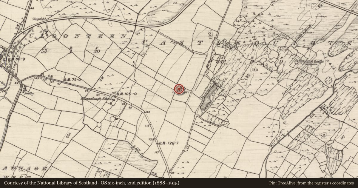 Ordnance Survey six-inch map, 2nd edition (1888–1915) covering the location of Ringfort - rath, Castlequarter, County Galway, with a pin at the register's coordinates