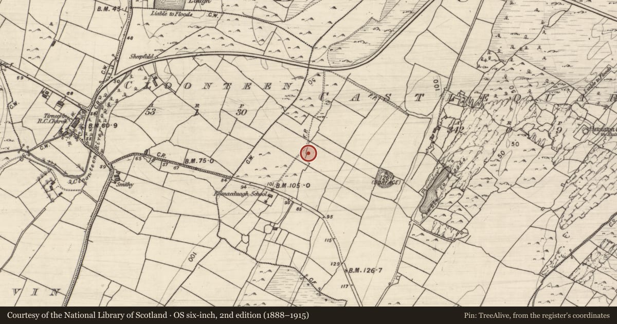 Ordnance Survey six-inch map, 2nd edition (1888–1915) covering the location of Ringfort - cashel, Castlequarter, County Galway, with a pin at the register's coordinates