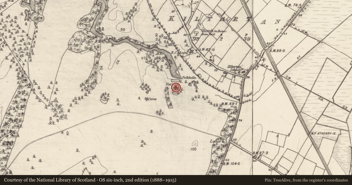 Ordnance Survey six-inch map, 2nd edition (1888–1915) covering the location of Burial, Coole Demesne, County Galway, with a pin at the register's coordinates