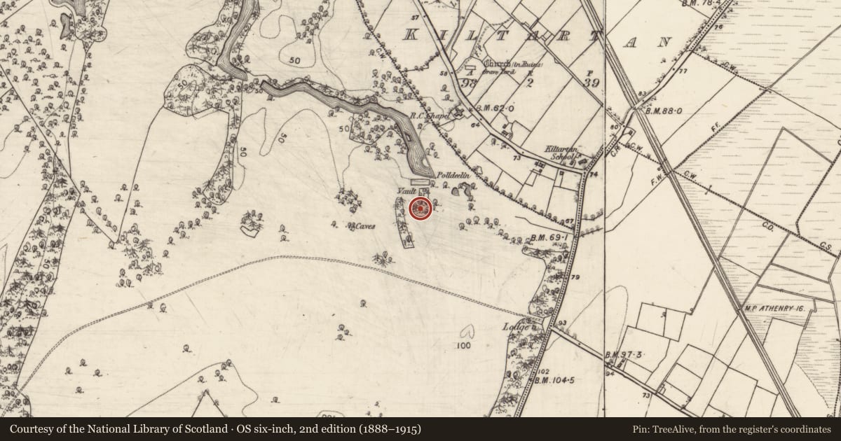 Ordnance Survey six-inch map, 2nd edition (1888–1915) covering the location of Designed landscape feature, Coole Demesne, County Galway, with a pin at the register's coordinates