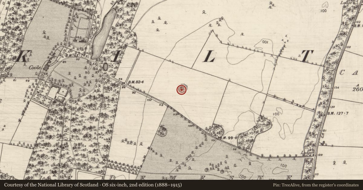 Ordnance Survey six-inch map, 2nd edition (1888–1915) covering the location of Designed landscape - tree-ring, Coole Demesne, County Galway, with a pin at the register's coordinates