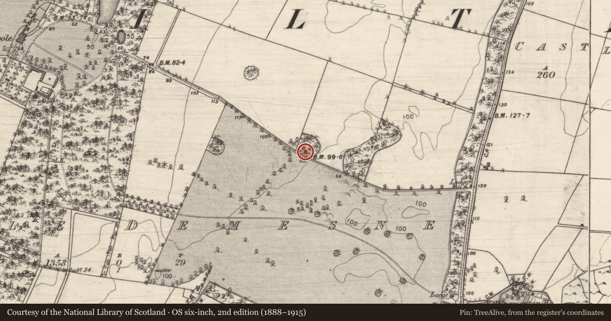 Ordnance Survey six-inch map, 2nd edition (1888–1915) covering the location of Designed landscape feature, Coole Demesne, County Galway, with a pin at the register's coordinates