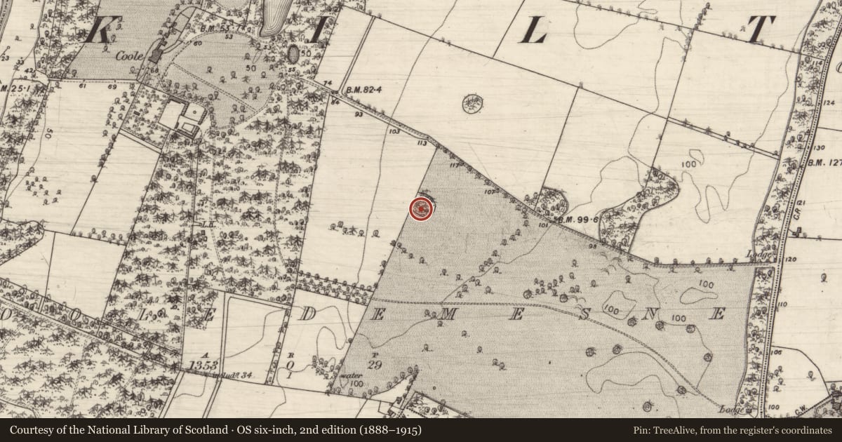 Ordnance Survey six-inch map, 2nd edition (1888–1915) covering the location of Designed landscape feature, Coole Demesne, County Galway, with a pin at the register's coordinates