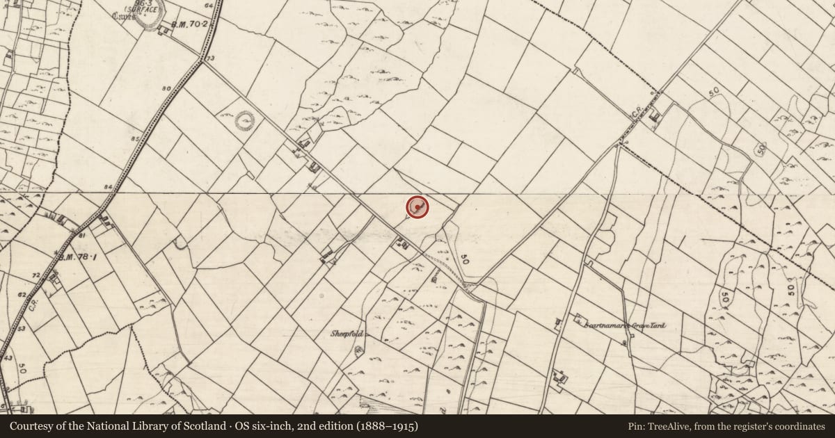 Ordnance Survey six-inch map, 2nd edition (1888–1915) covering the location of Ringfort - rath, Crannagh, County Galway, with a pin at the register's coordinates