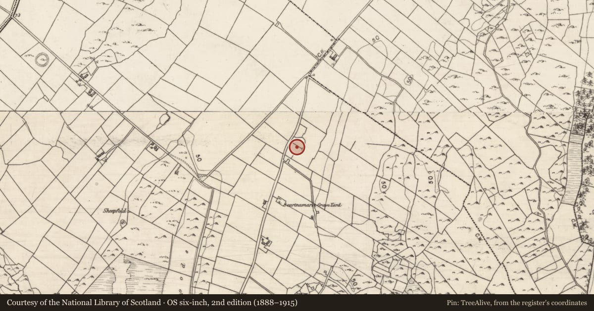 Ordnance Survey six-inch map, 2nd edition (1888–1915) covering the location of Ringfort - cashel, Crannagh, County Galway, with a pin at the register's coordinates