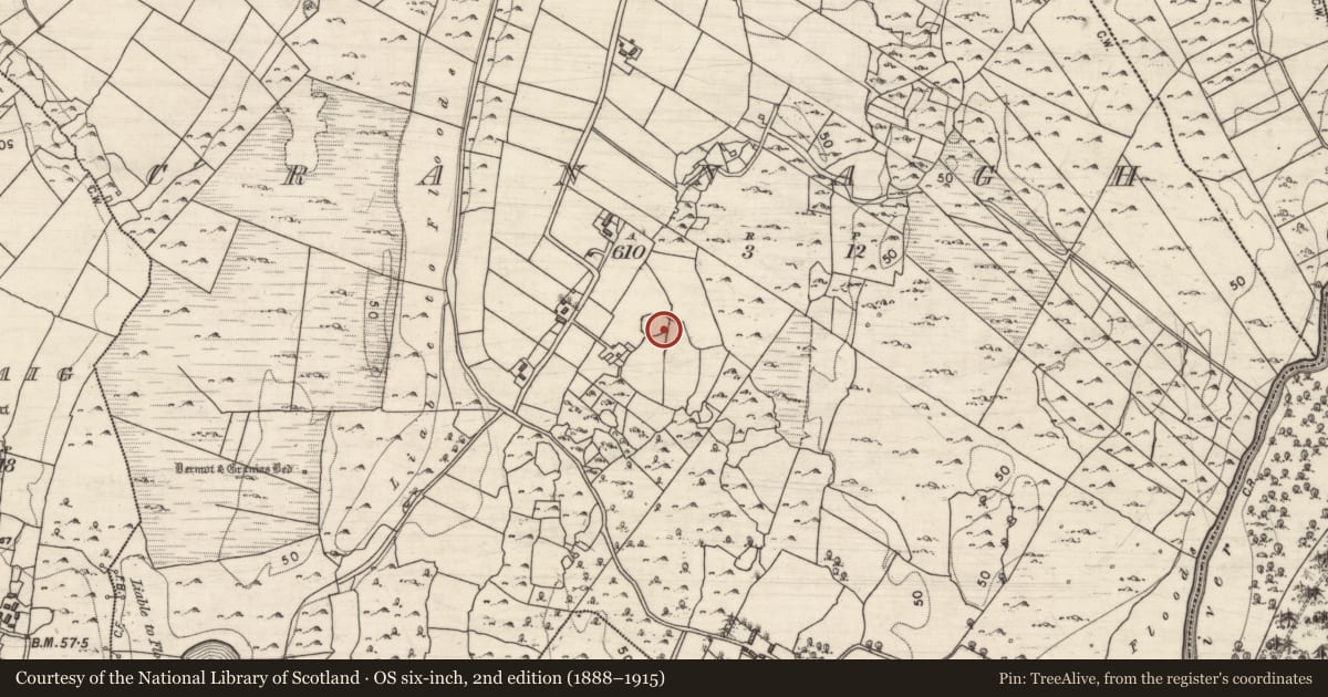 Ordnance Survey six-inch map, 2nd edition (1888–1915) covering the location of Ringfort - cashel, Crannagh, County Galway, with a pin at the register's coordinates