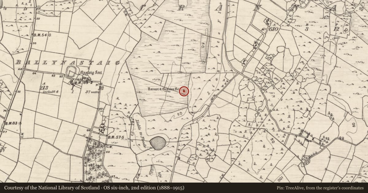 Ordnance Survey six-inch map, 2nd edition (1888–1915) covering the location of Megalithic tomb - portal tomb, Crannagh, County Galway, with a pin at the register's coordinates