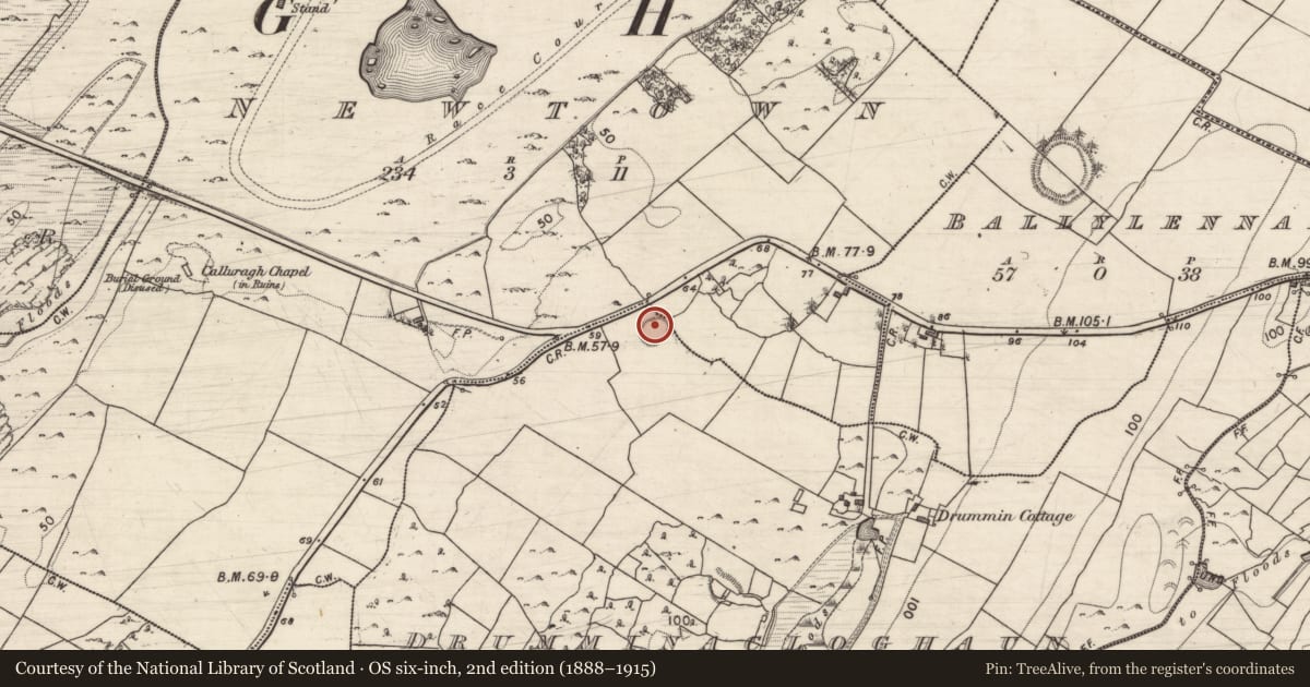 Ordnance Survey six-inch map, 2nd edition (1888–1915) covering the location of Ringfort - unclassified, Drumminacloghaun, County Galway, with a pin at the register's coordinates