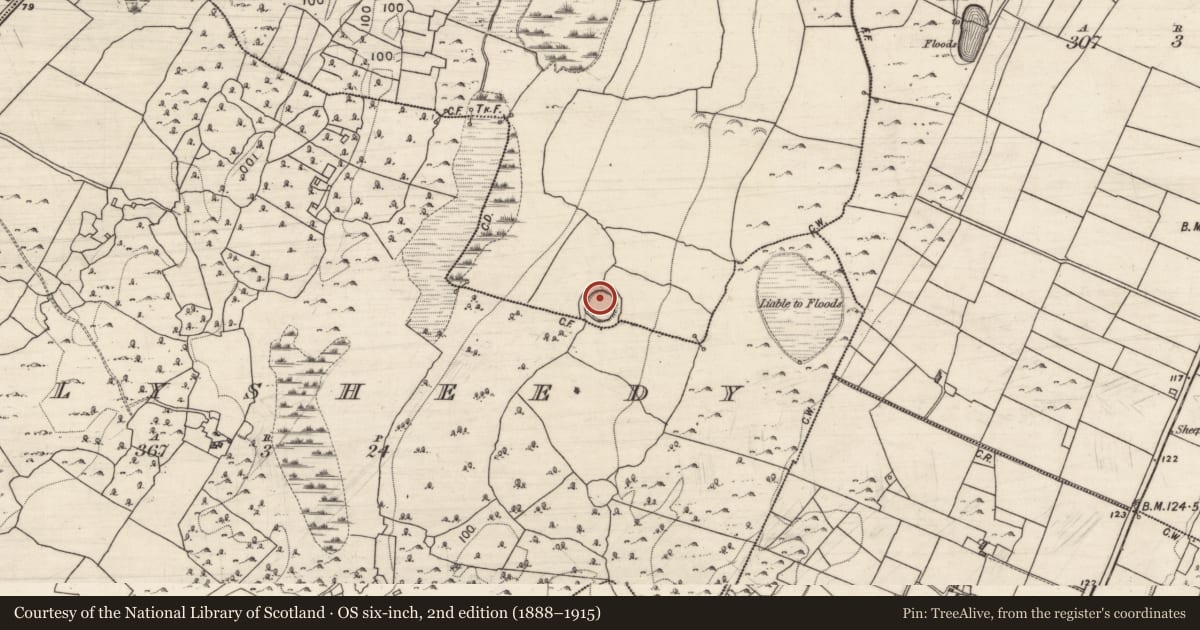 Ordnance Survey six-inch map, 2nd edition (1888–1915) covering the location of Ringfort - rath, Drumminacloghaun, County Galway, with a pin at the register's coordinates