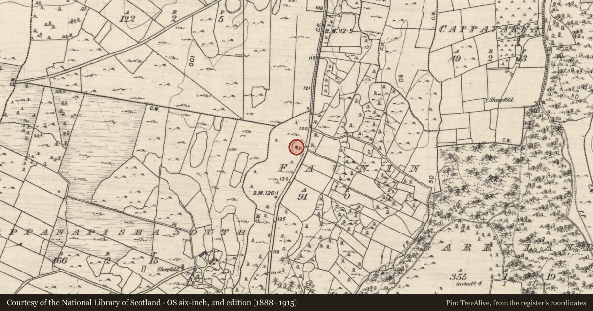 Ordnance Survey six-inch map, 2nd edition (1888–1915) covering the location of Ringfort - cashel, Faunin, County Galway, with a pin at the register's coordinates