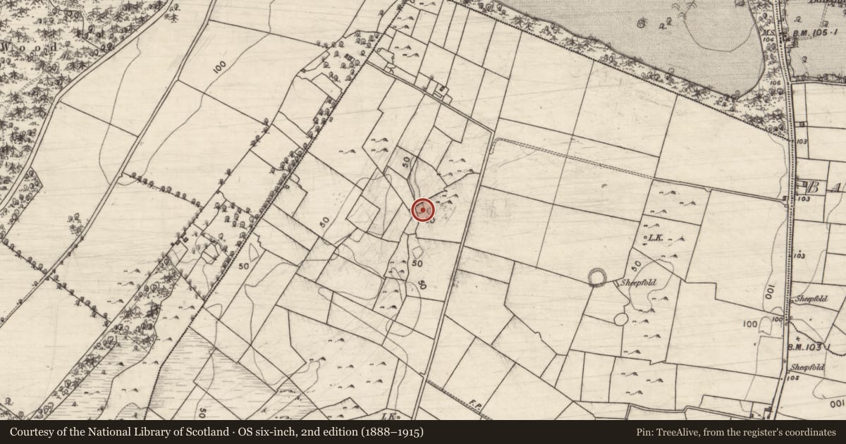 Ordnance Survey six-inch map, 2nd edition (1888–1915) covering the location of Enclosure, Glenbrack, County Galway, with a pin at the register's coordinates